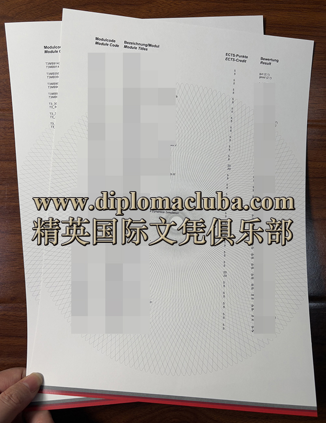 巴登-符腾堡州双元制大学成绩单