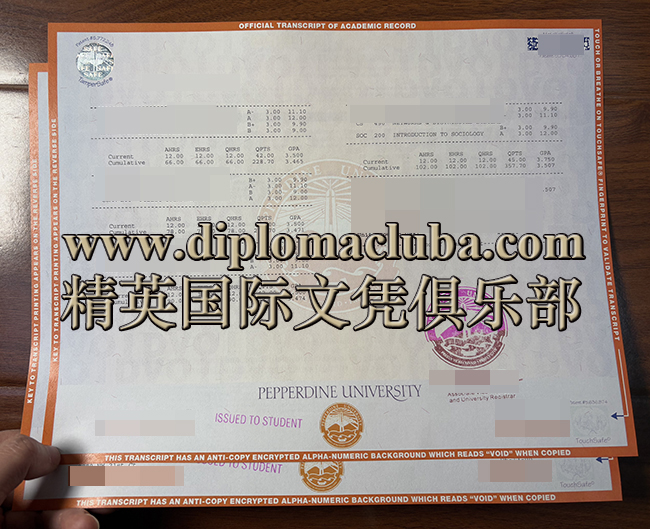 佩珀代因大学成绩单