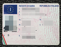 意大利驾照 | Italy ID | Italy Driver License | Italy Patente di Guida